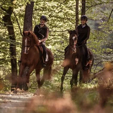 Zwei Pferde mit zwei Personen die Reiten