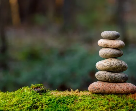 Steinstapelung auf Moosboden